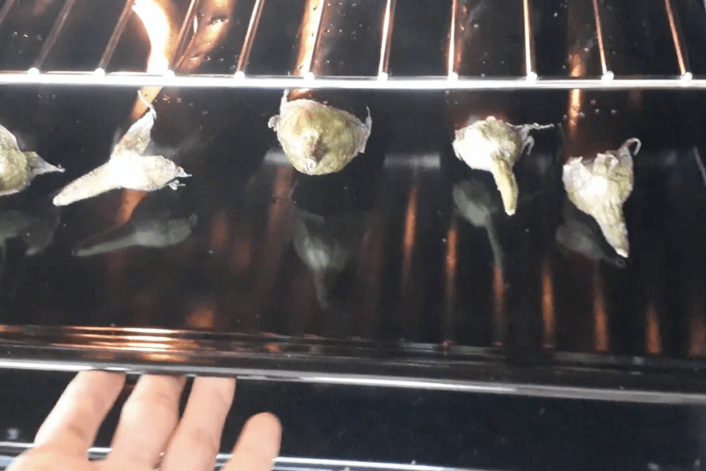 Baking eggplants