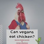 Can vegans eat chicken? Reasons + Alternatives