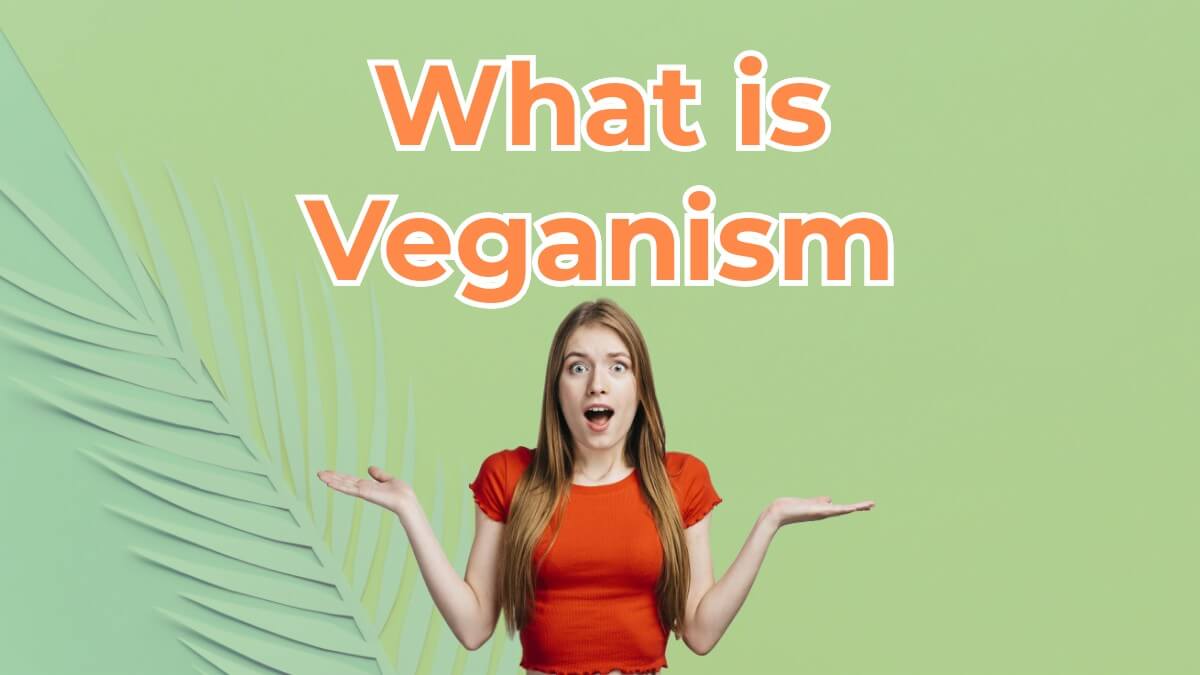 Definition Veganism & Reasons for Veganism