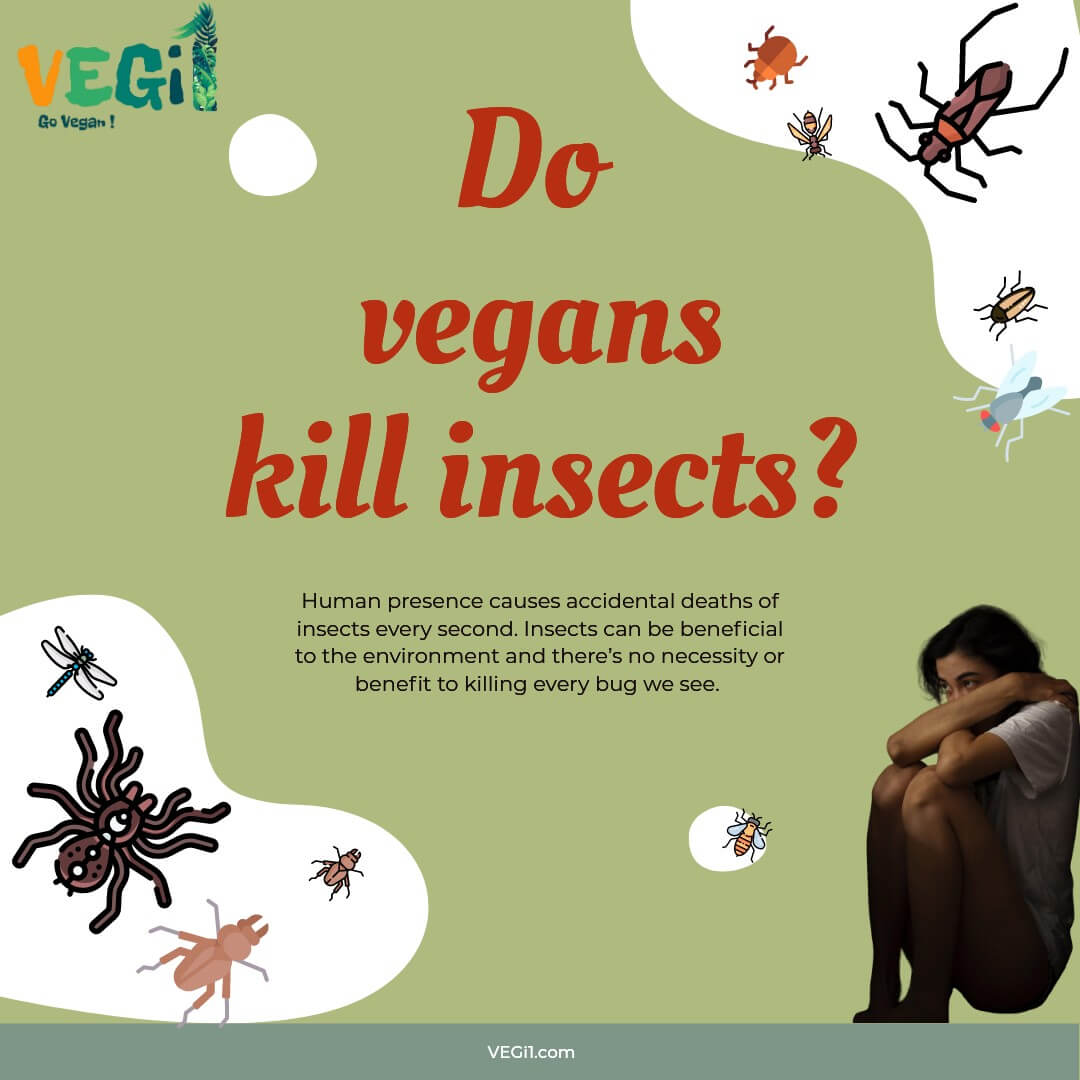 Do vegans kill insects