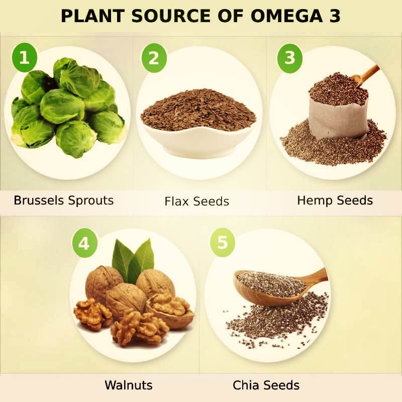 Omega 3 plant alternatives