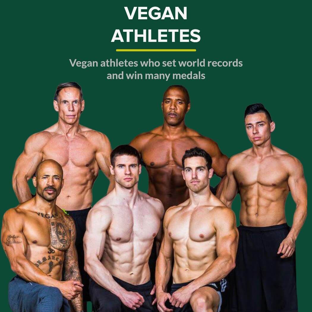 Vegan athletes who set world records and win many medals