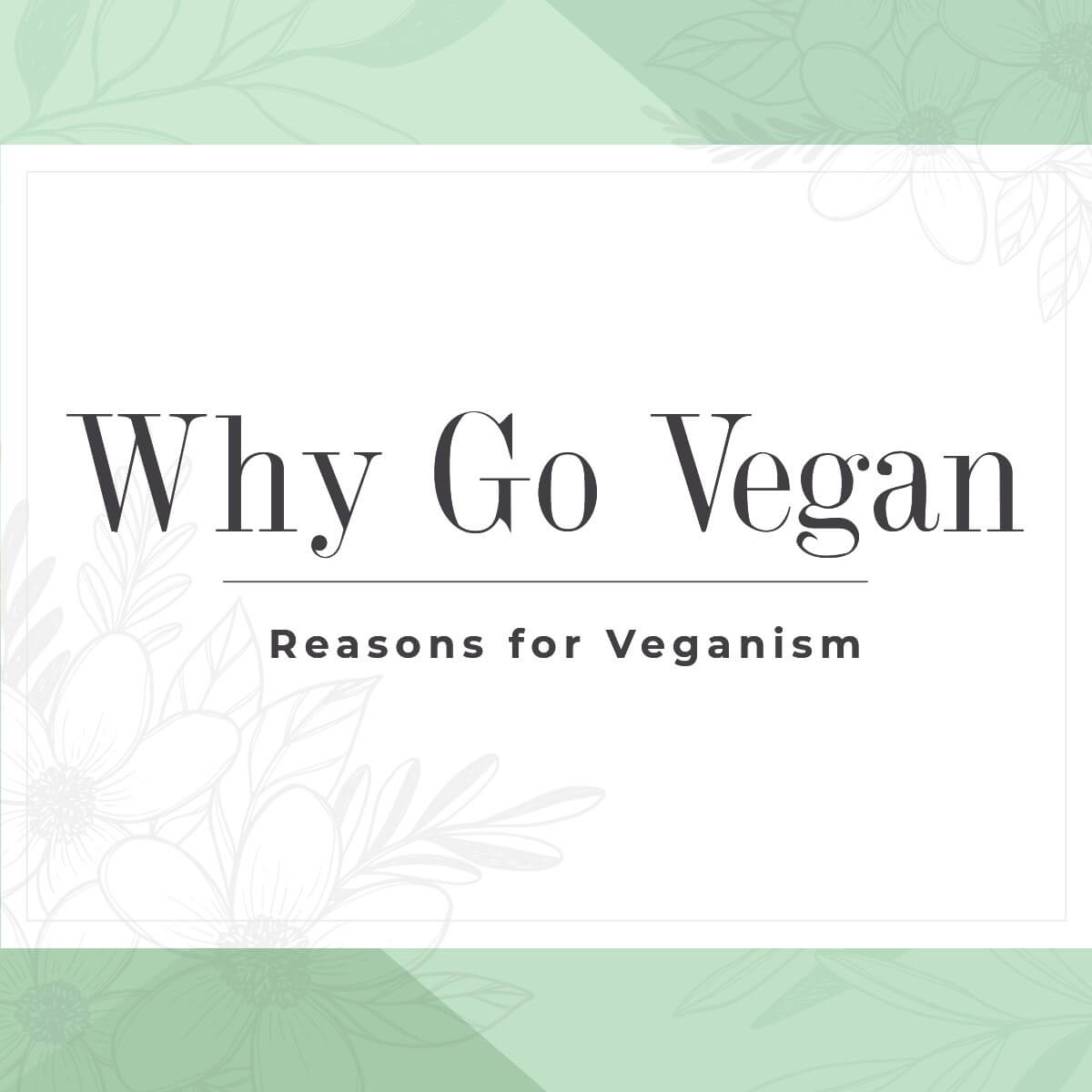 Why Go Vegan - Reasons for Veganism