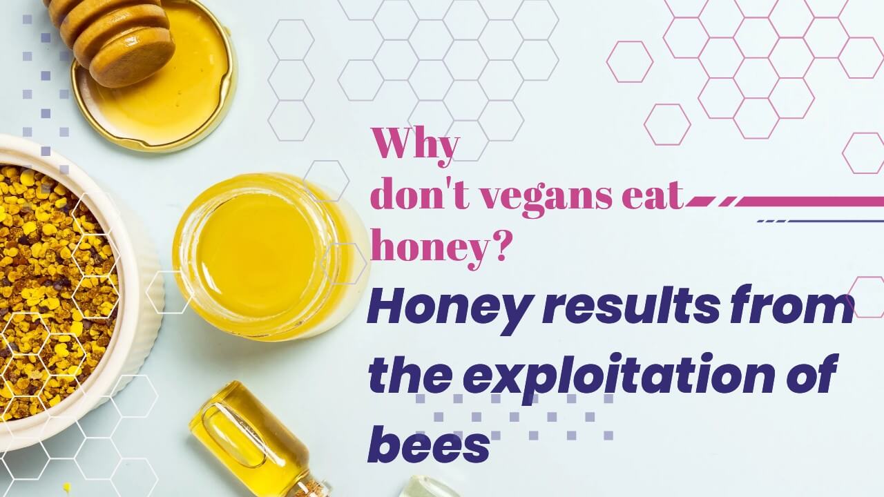 Why is honey not vegan