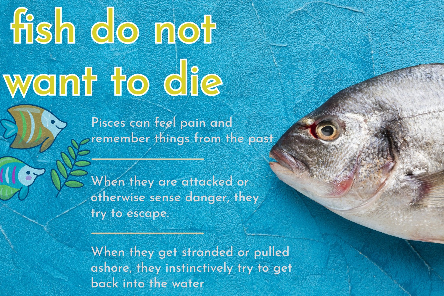 fish do not want to die