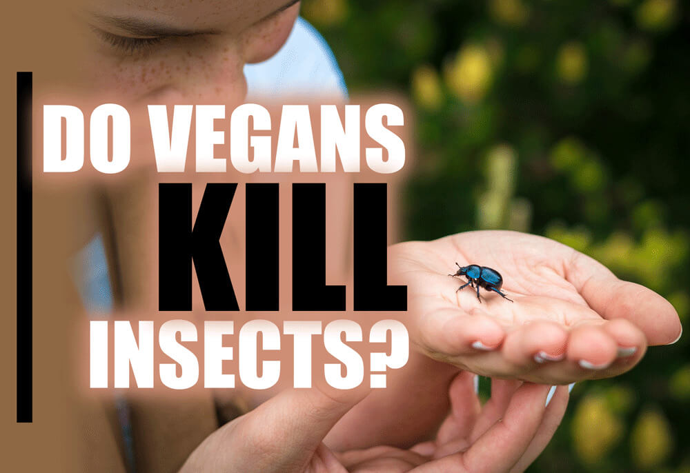 how do vegans feel about pest control