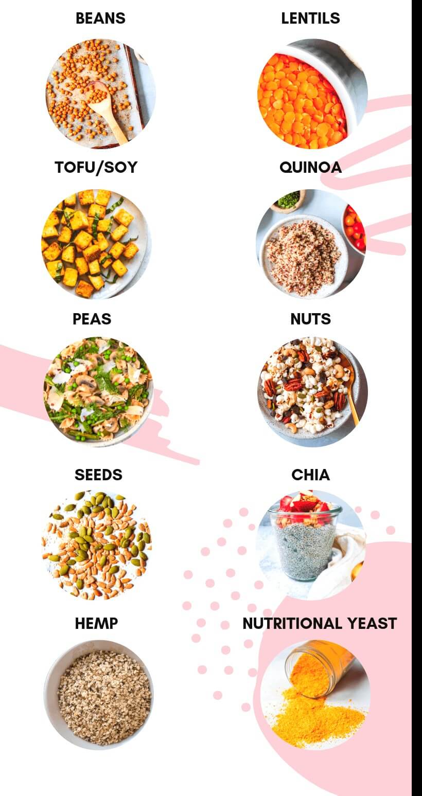 plant - based protein sources