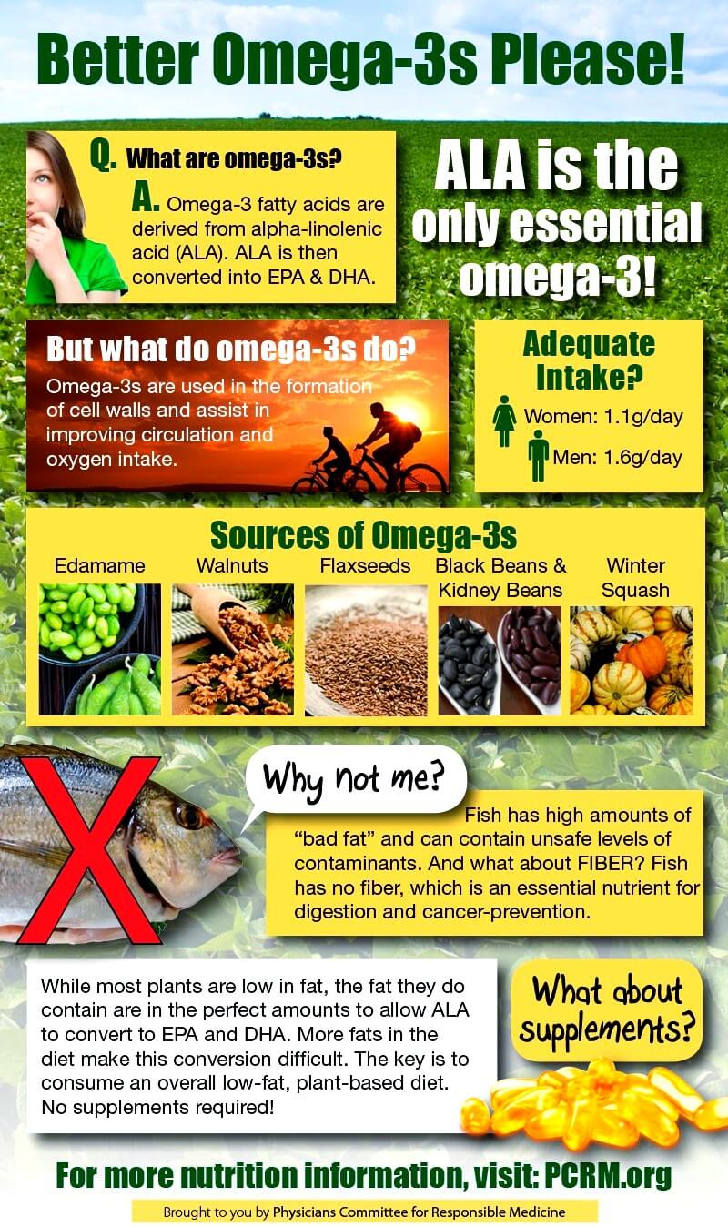 plant based sources-of-omega-3