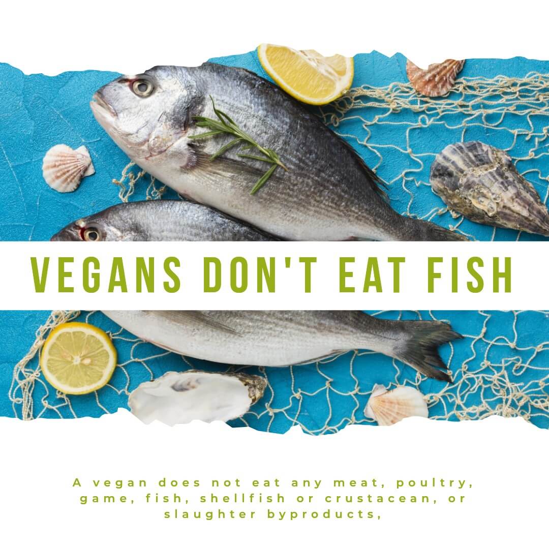vegans don't eat fish