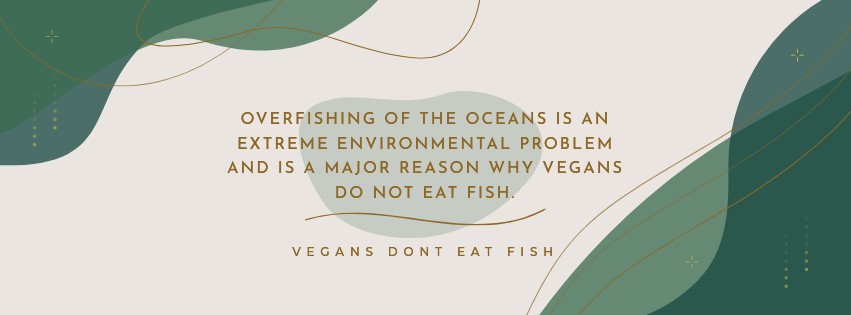 why vegans do not eat fish