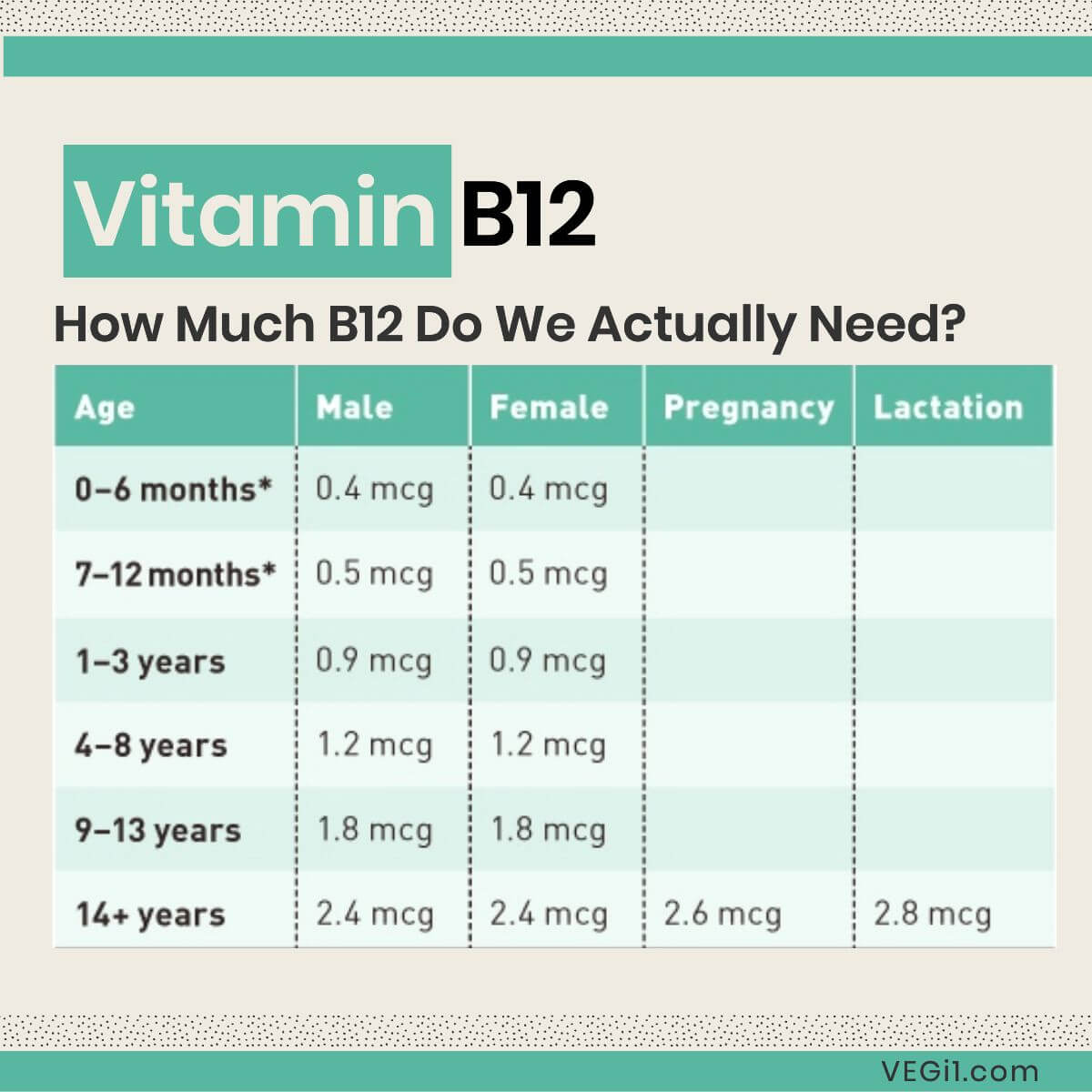 How Much B12 Do We Actually Need?