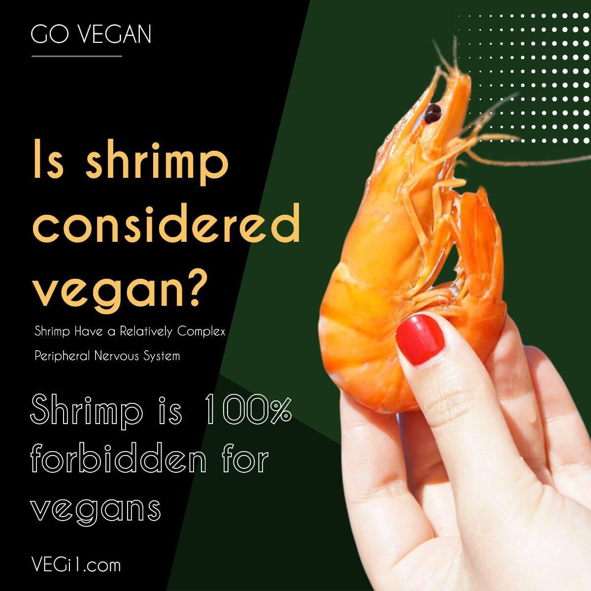 Is shrimp considered vegan
