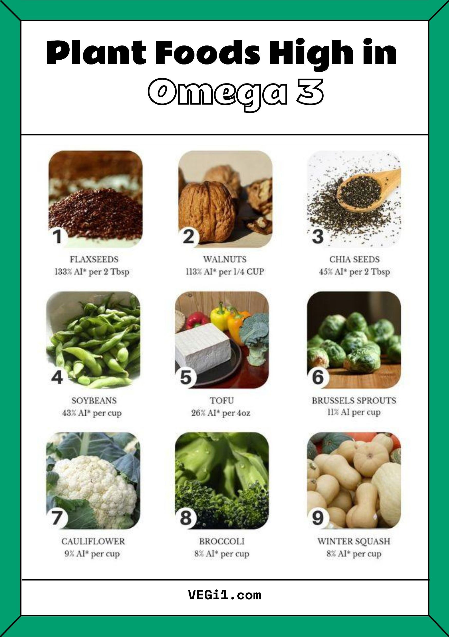 Plant based Foods High in omega3