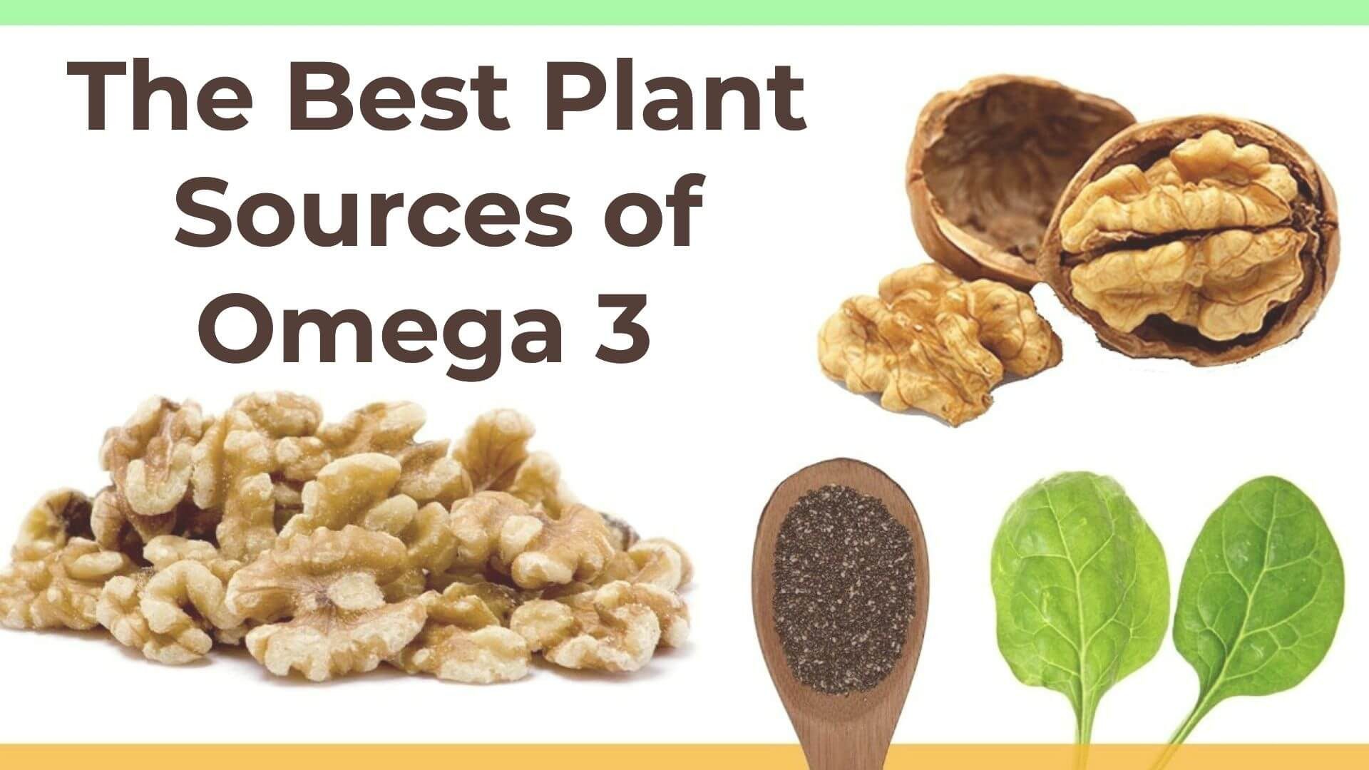 The Best Plant Sources of Omega 3