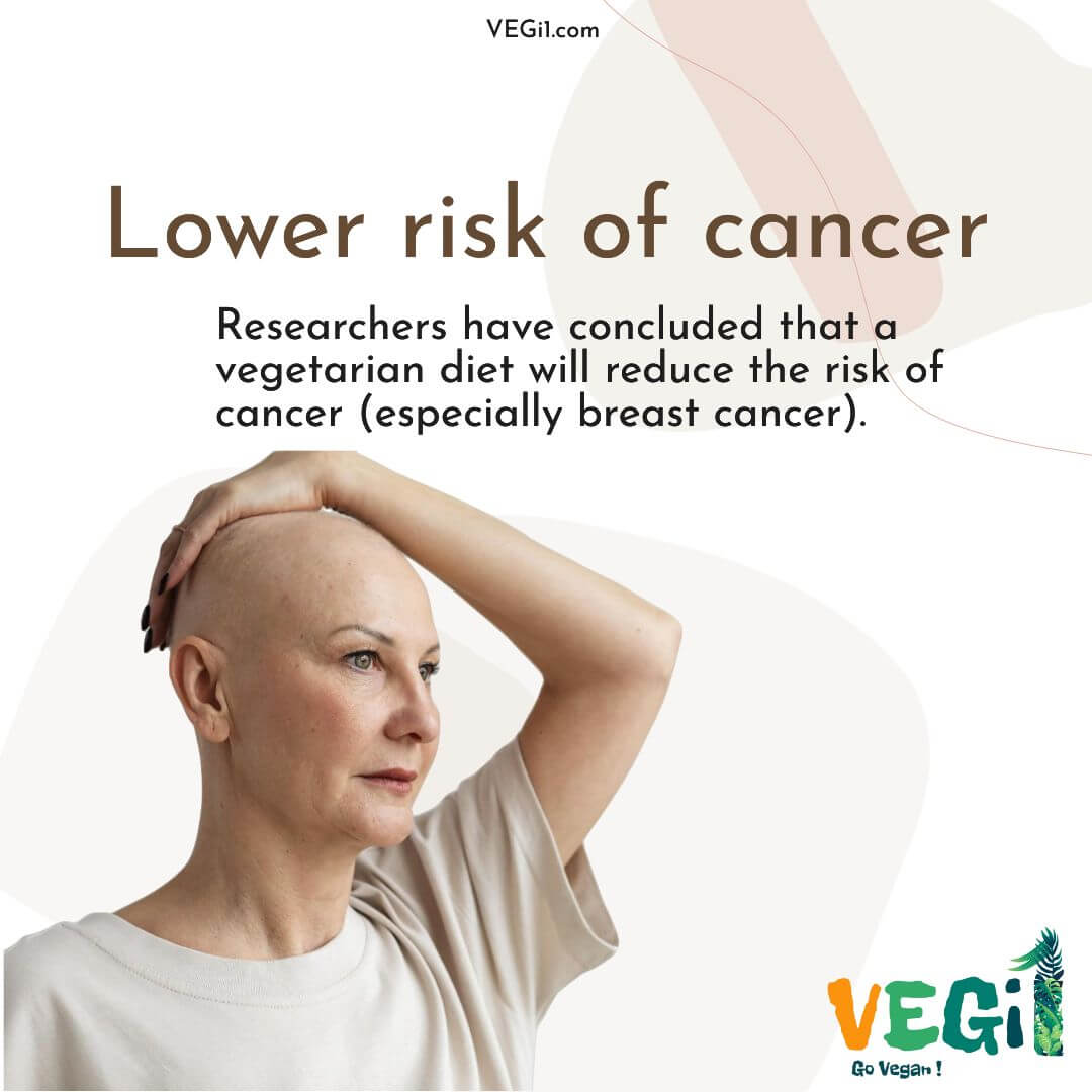 The risk of cancer is lower in vegetables