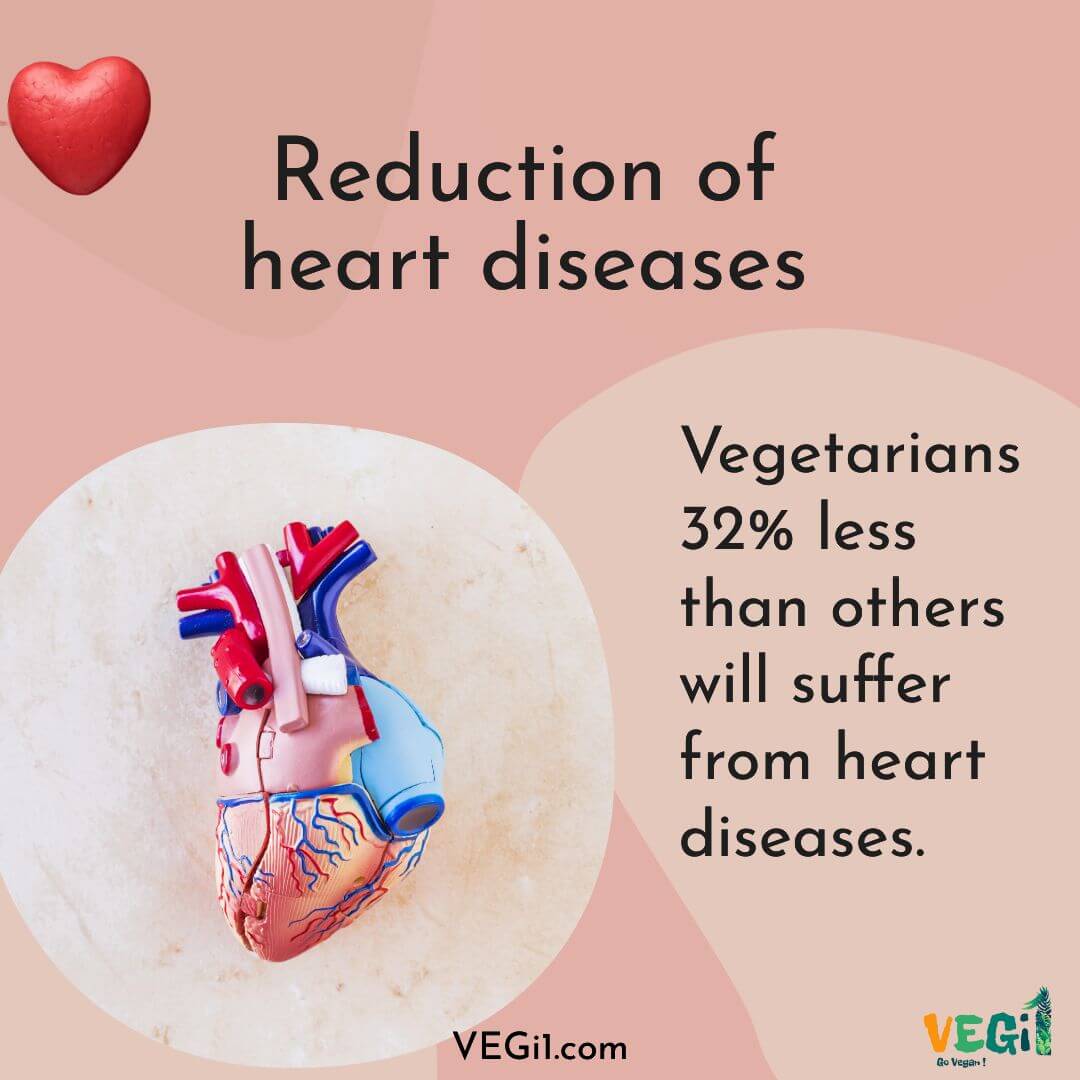 The risk of heart disease is lower in vegetarians