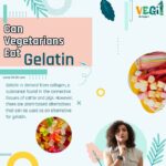 Can Vegetarians Eat Gelatin