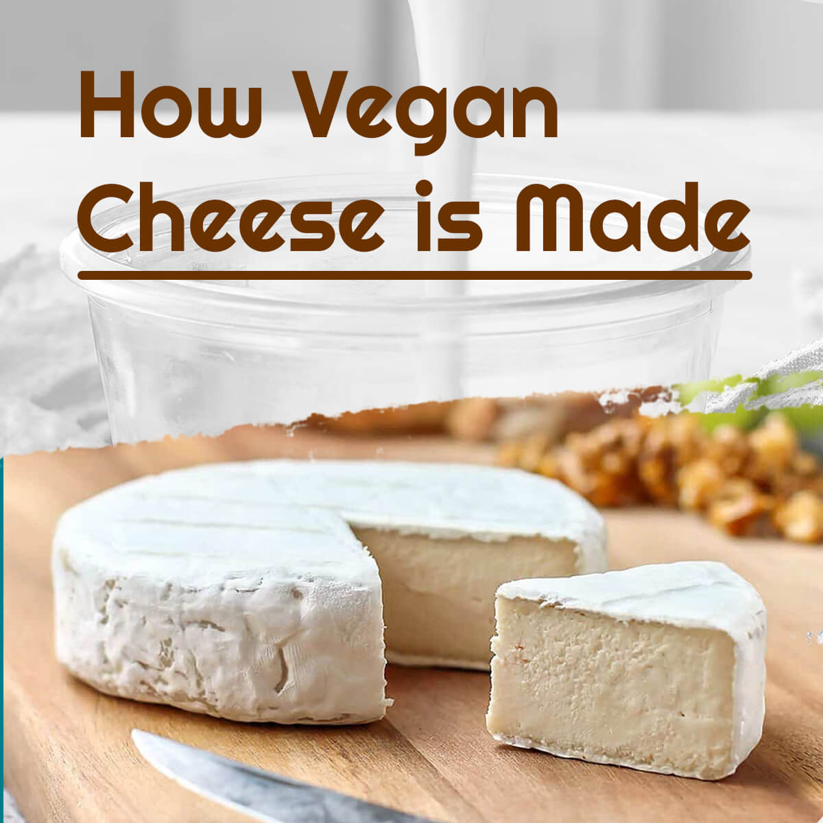 How Vegan Cheese is Made