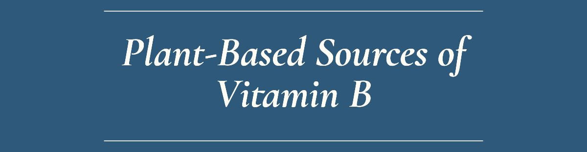 Plant-Based Sources of Vitamin B