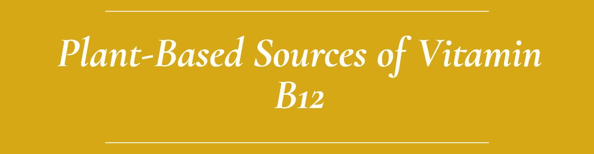 Plant-Based Sources of Vitamin B12
