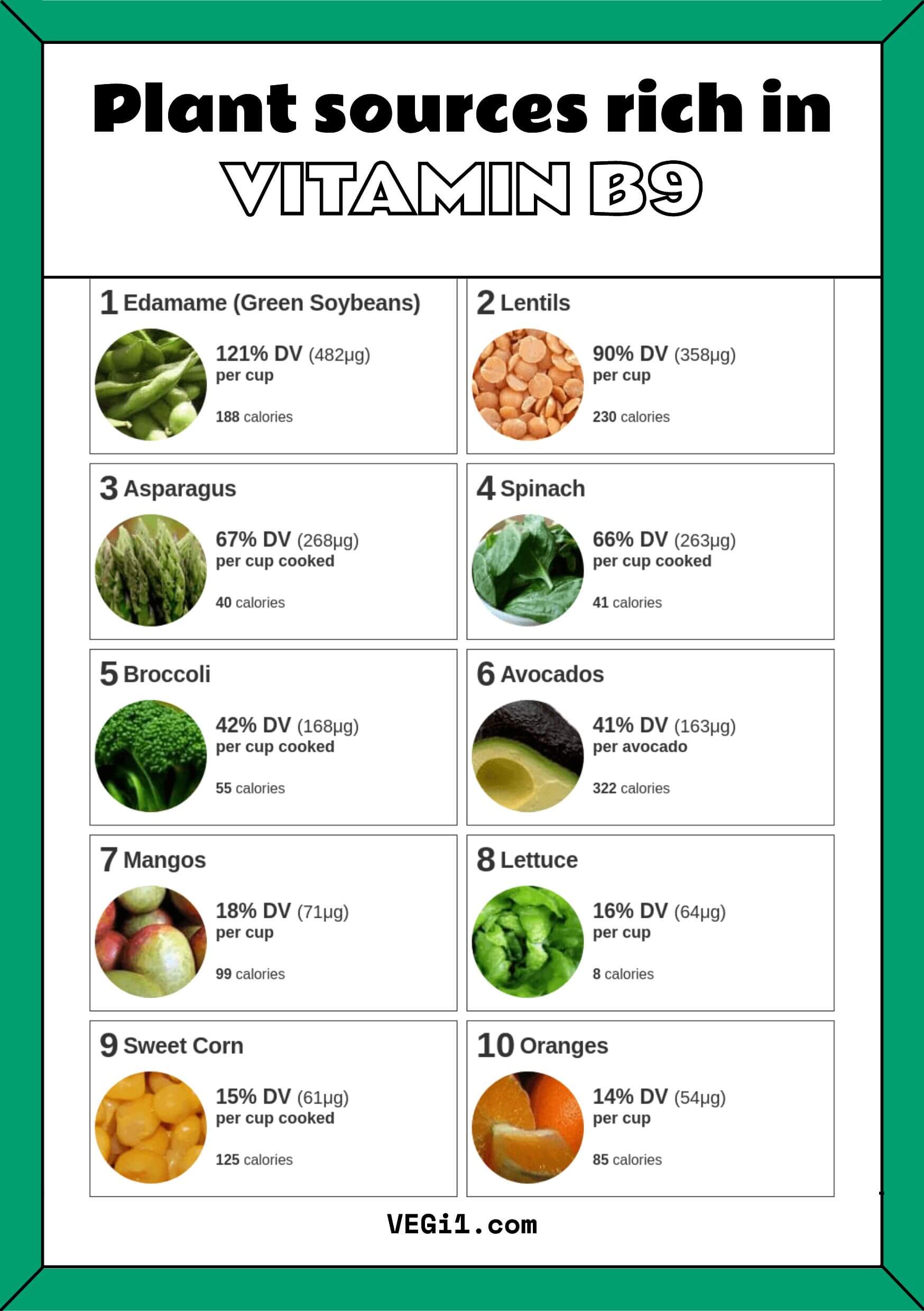 Plant-Based Sources of Vitamin B9