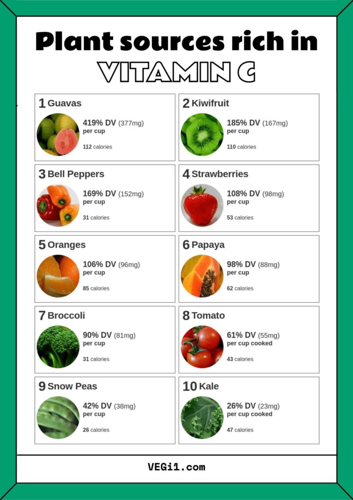 Plant sources rich in vitamin c