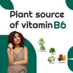 Vitamin B6 Rich Foods Vegetarian
