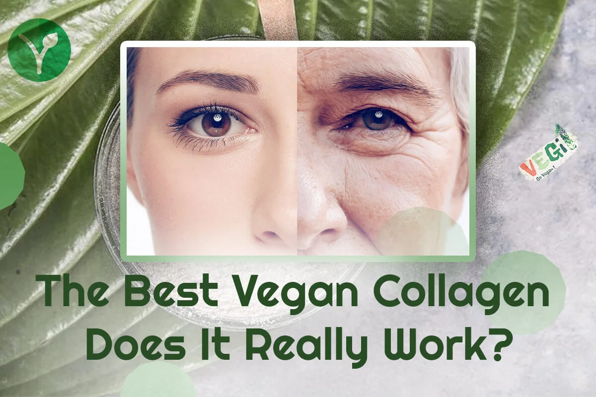 The Best Vegan Collagen: Does It Really Work? Best Vegan Collagen