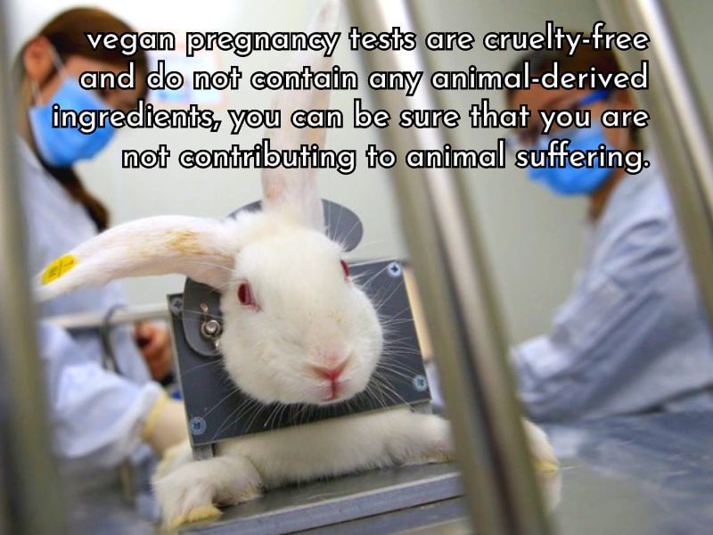 vegan pregnancy tests are cruelty-free and do not contain any animal-derived ingredients, you can be sure that you are not contributing to animal suffering. 
