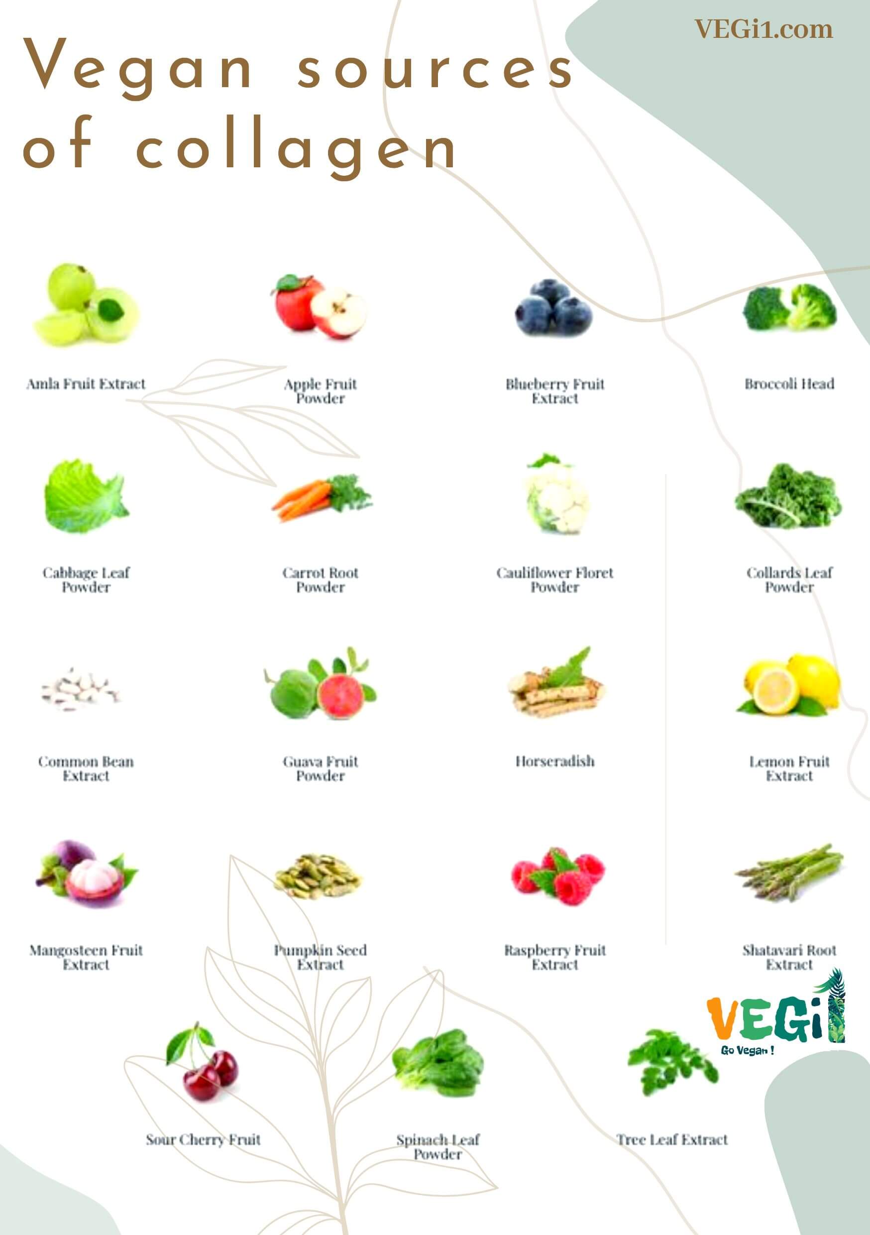 Vegan sources of collagen