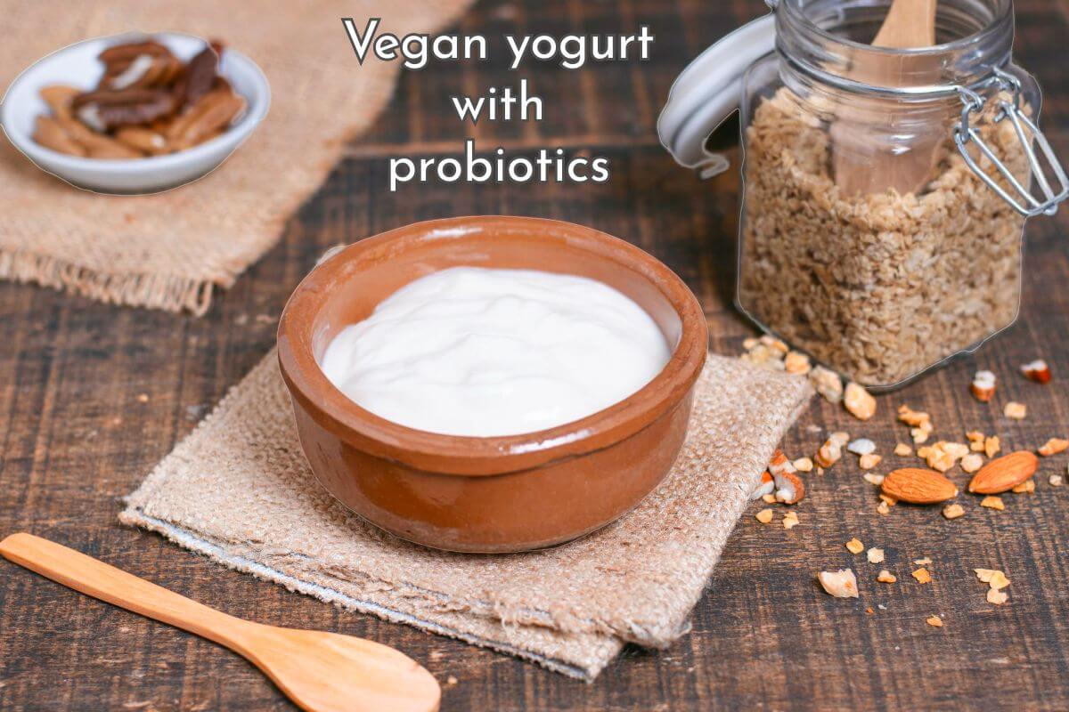 Vegan yogurt with probiotics