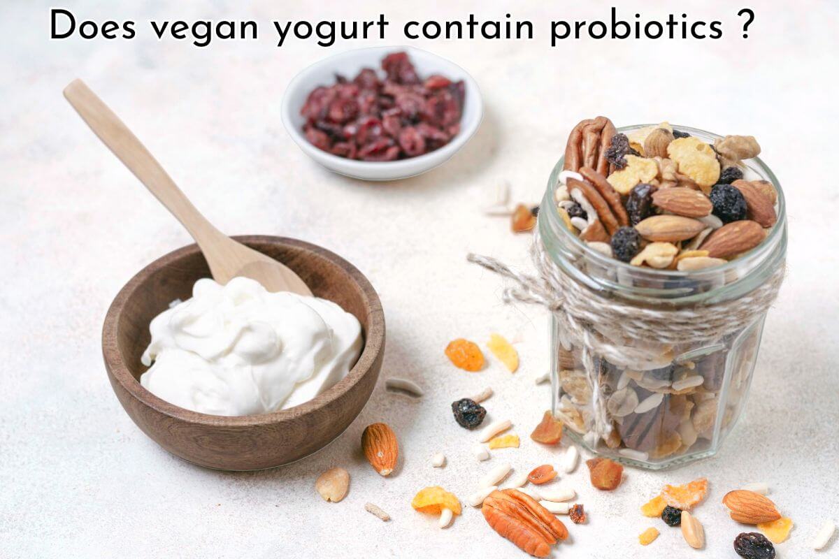 does vegan yogurt contain probiotics