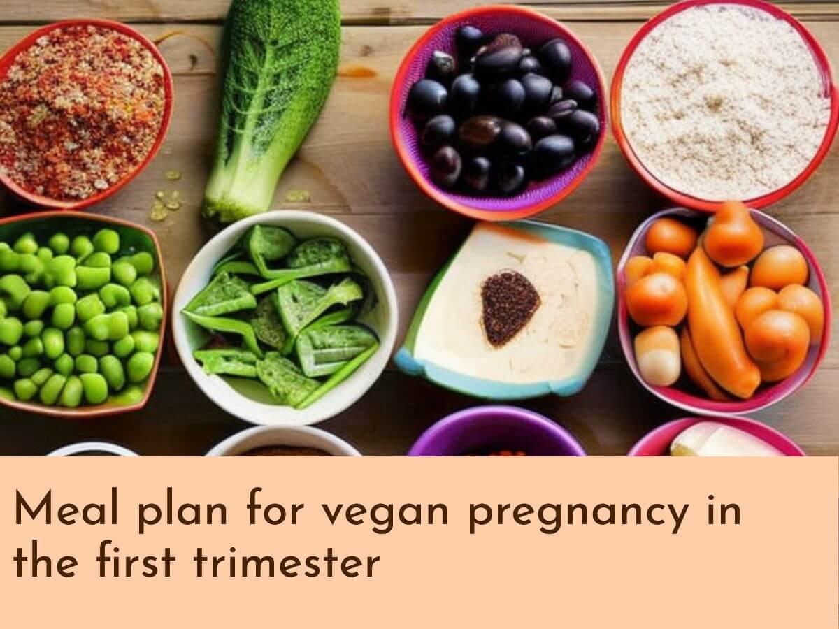 vegan pregnancy meal plan