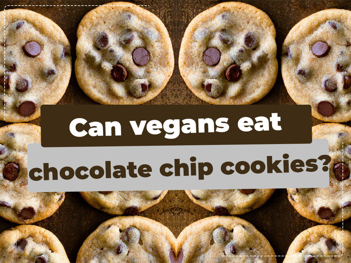 Can vegans eat chocolate chip cookies