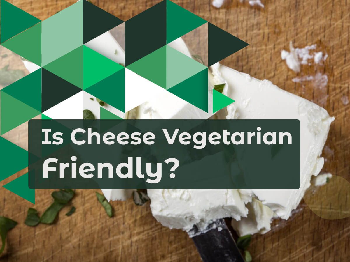 Is Cheese Vegetarian Friendly