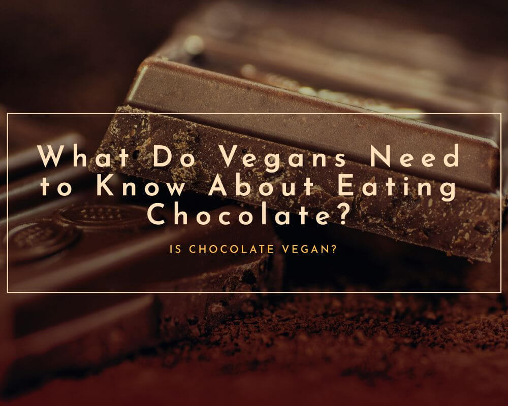 Is Chocolate VeganWhat Do Vegans Need to Know About Eating Chocolate? 