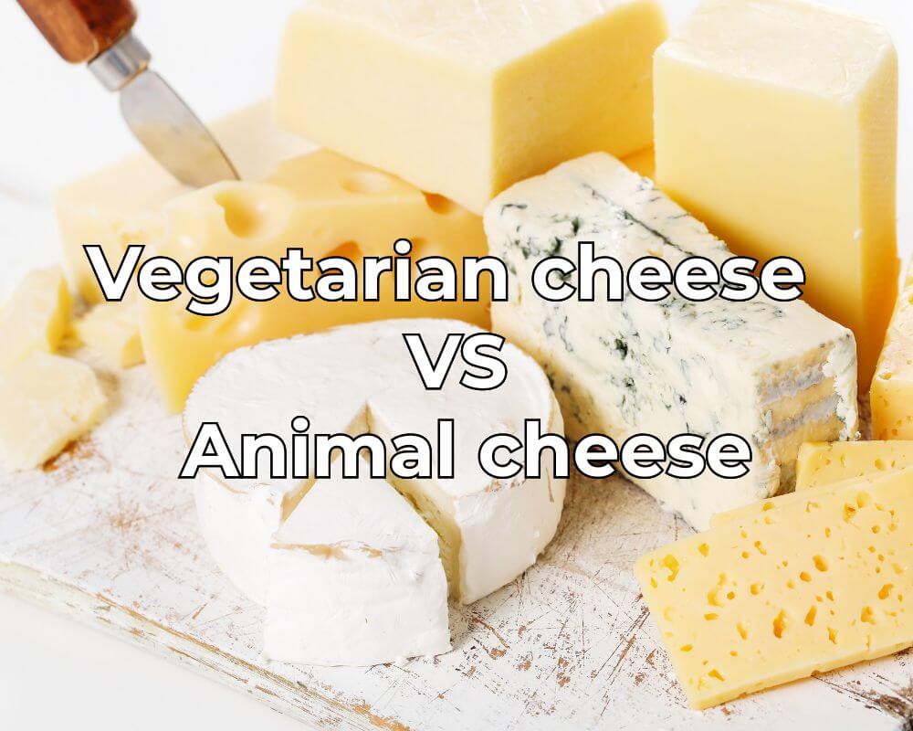 Vegetarian cheese VS Animal cheese