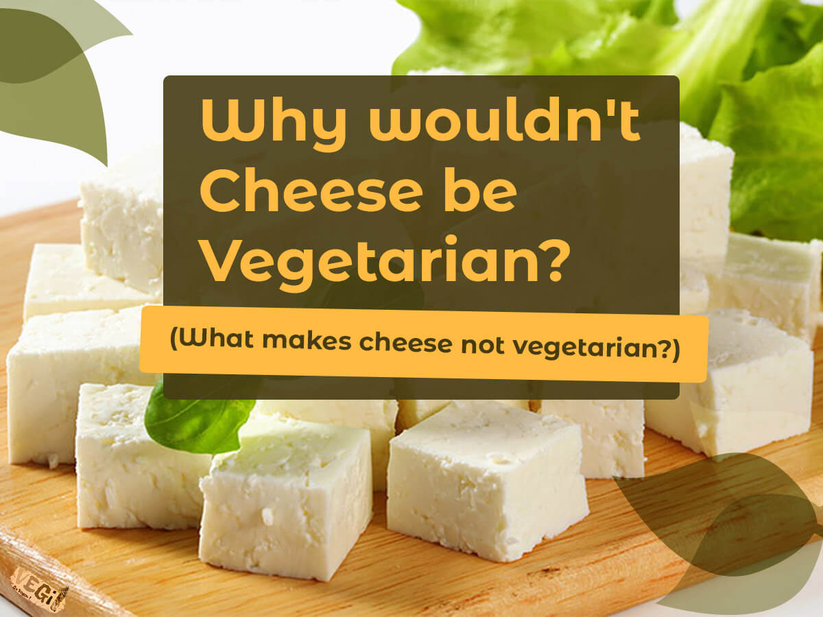 Why wouldn't cheese be vegetarian? What makes cheese not vegetarian?