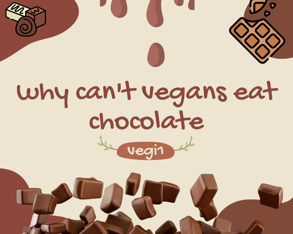 why can't vegans eat chocolate