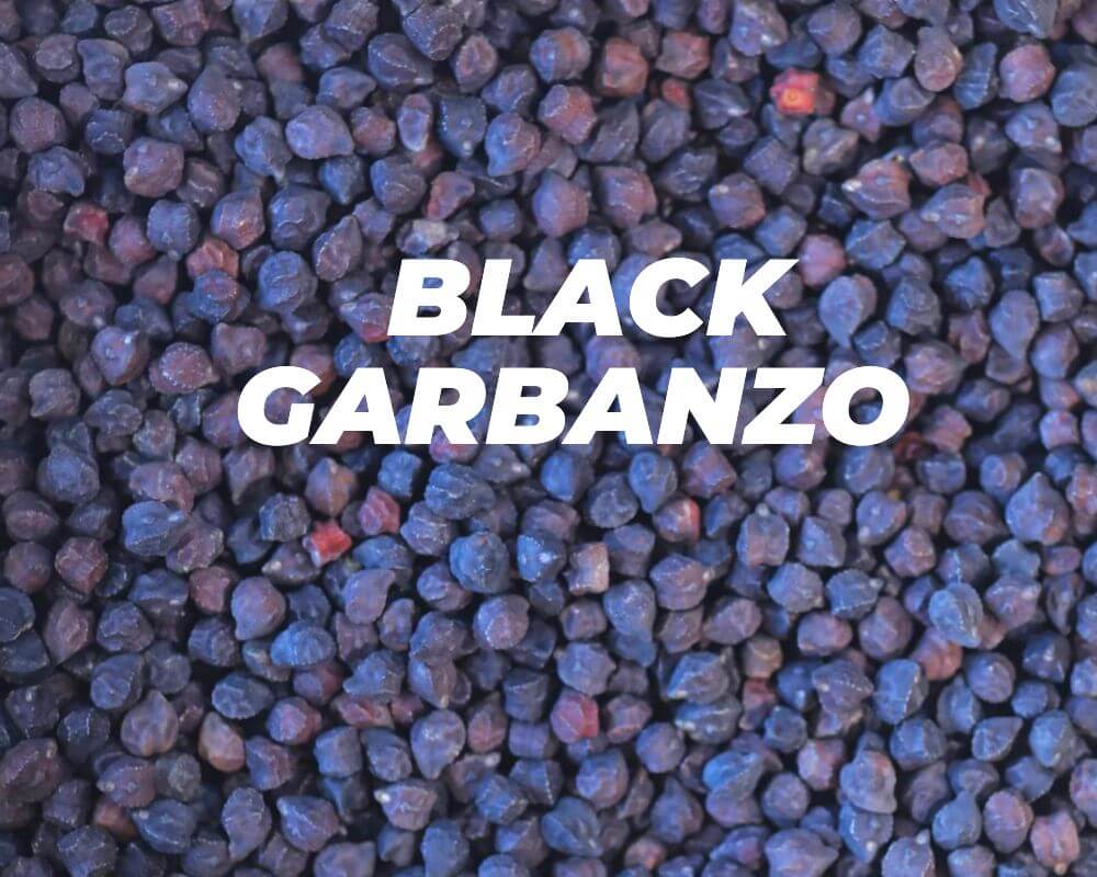 BLACK GARBANZO BEAN these rare heirloom legumes have a firm texture and an irresistible earthy, nutty flavor.
Black Garbanzos are much denser than classic Garbanzos, making them ideal for salads, stews, or even baked dishes. The skins are thicker but they are not chewy or tough, just a little more interesting.