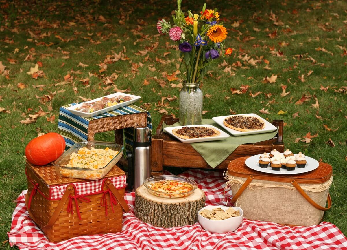 healthy vegan picnic ideas