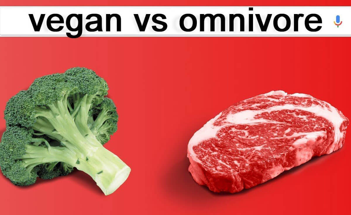 Veganism Vs. Omnivores; Are Vegans Healthier Than Omnivores?🌱VEGi1