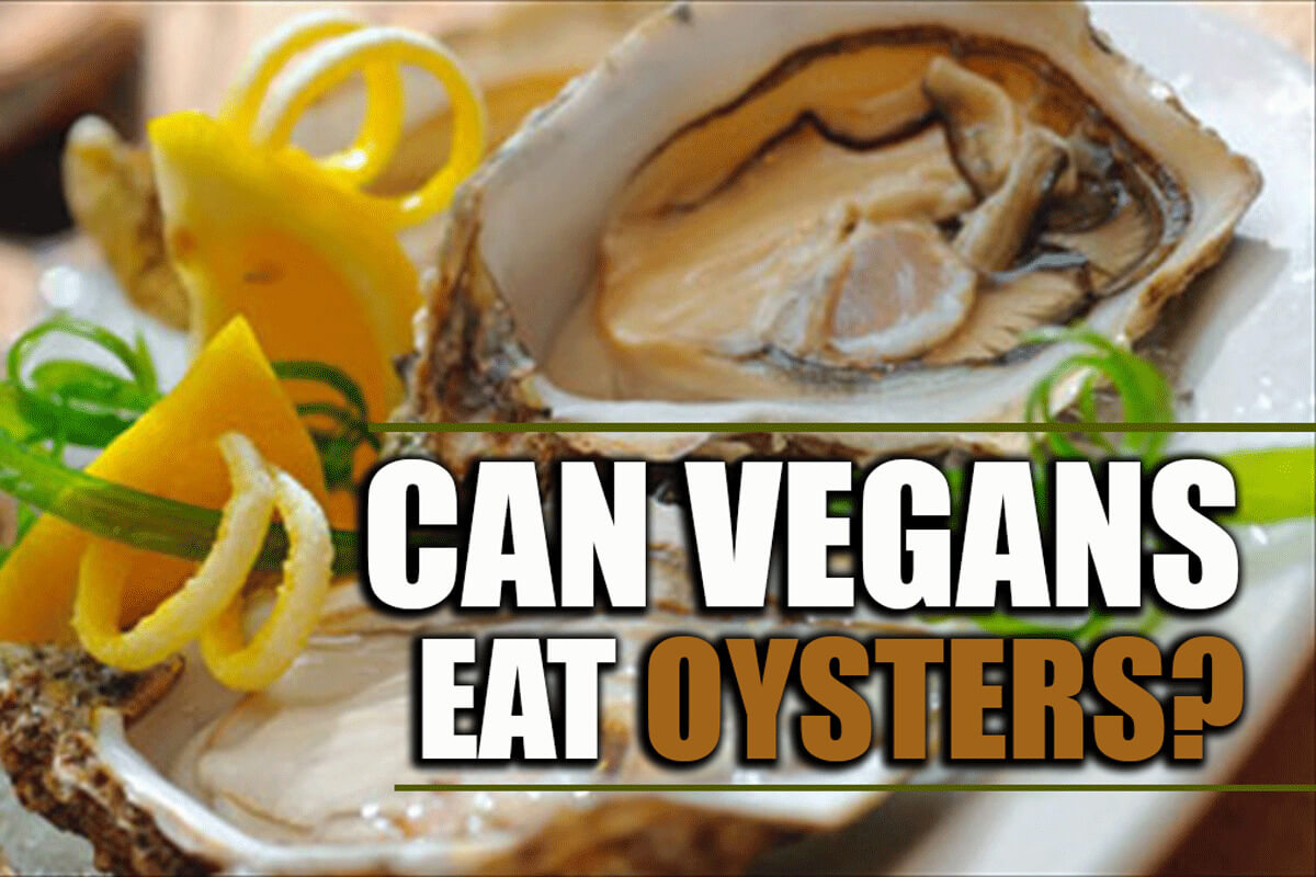 Are oysters vegan