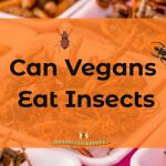 Can Vegans Eat Insects