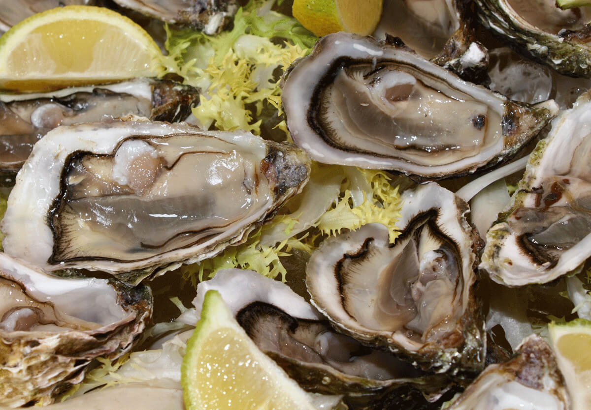 Can Vegans Eat Oysters-Exploring the Ethics and Environmental Impact