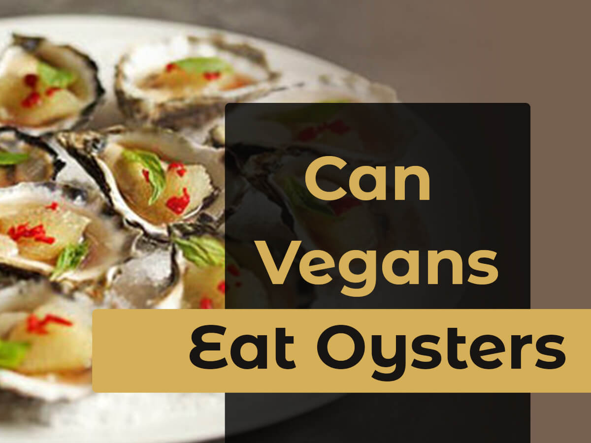 Can Vegans Eat Oysters