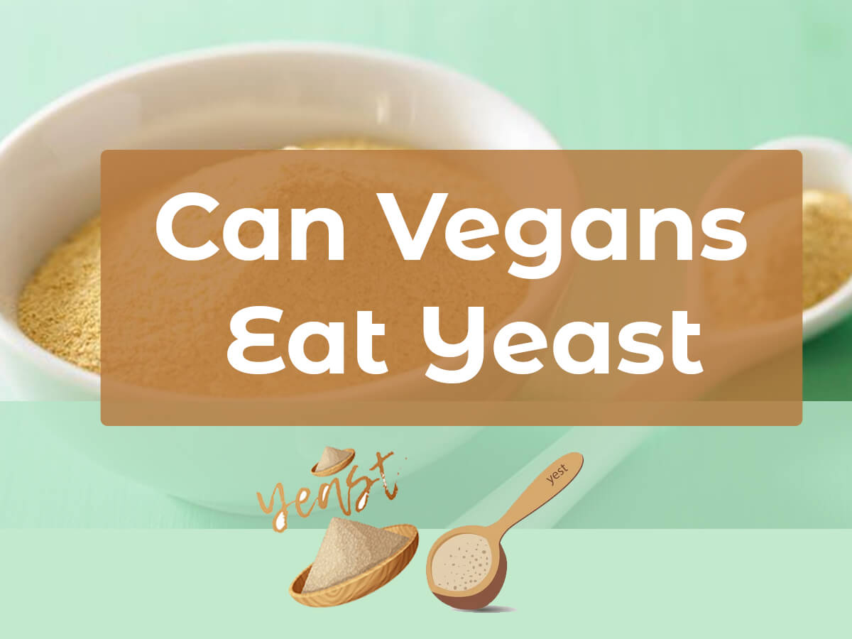 Can Vegans Eat Yeast