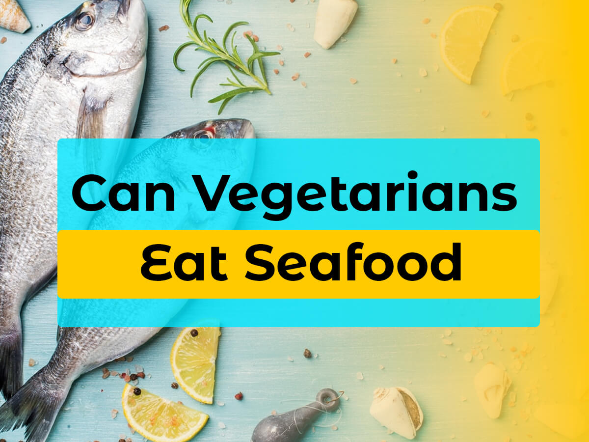 From Pescatarian to Vegan: Unraveling Seafood's Secrets and Saving Our Seas