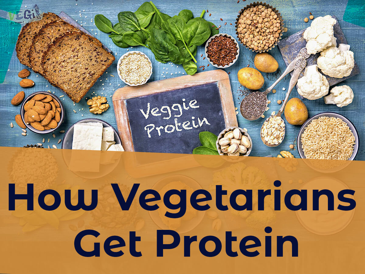 Colorful plant-based protein sources for vegetarians. Fuel your body with nutritious and delicious plant power!