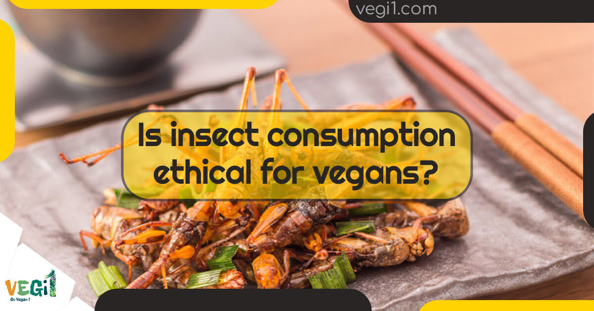 Bugs on the Menu: Exploring the Ethics of Insect Consumption for Vegans